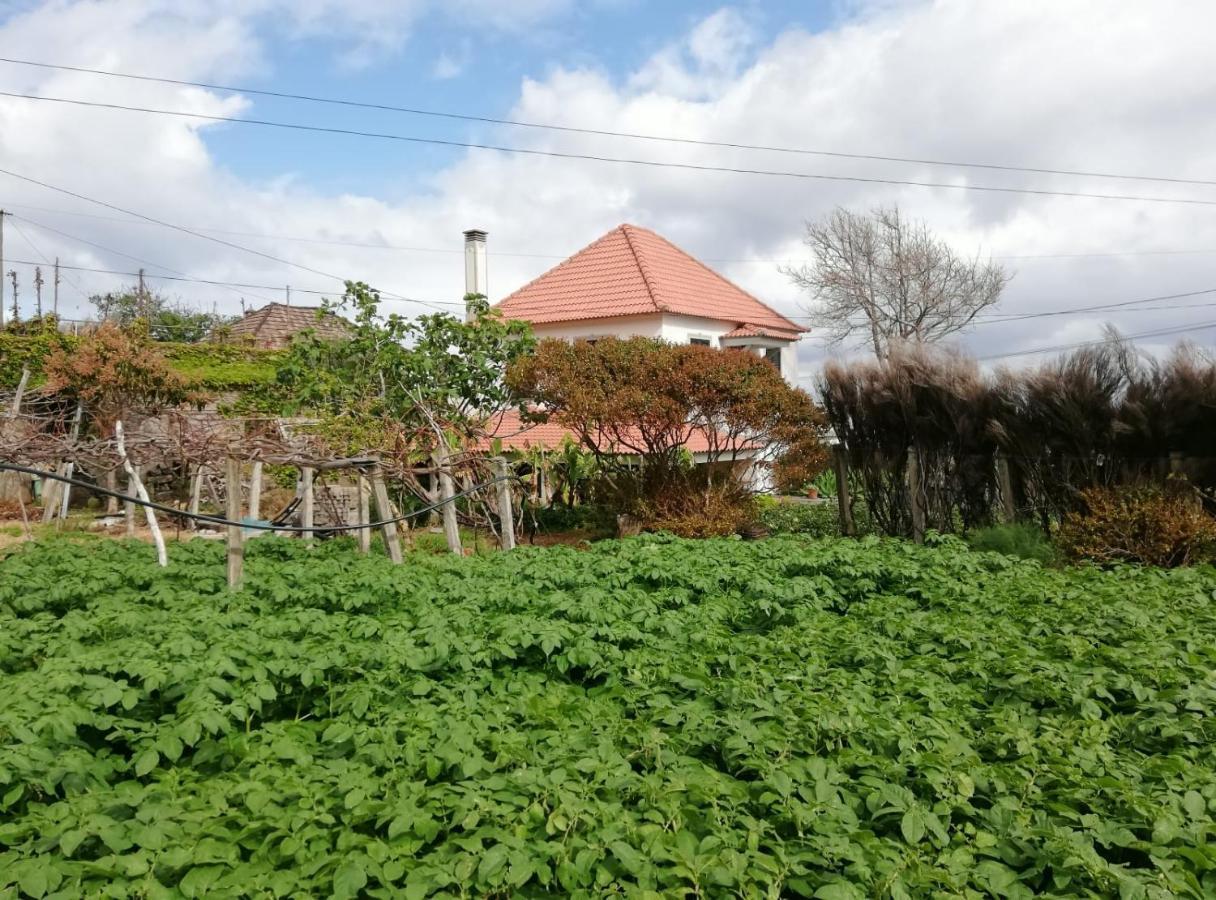 Holiday home Avo Lucindinha House -