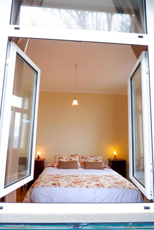 Avo Lucindinha House - Holiday home