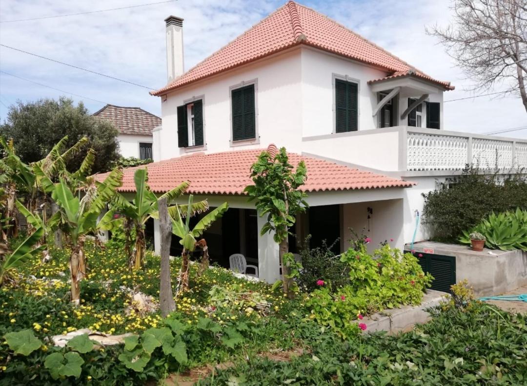Avo Lucindinha House - Holiday home
